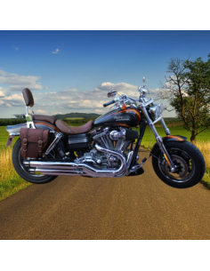 ALFORJA PIEL CENTURION DERECHA MARRON CUERO UNIVERSAL 2