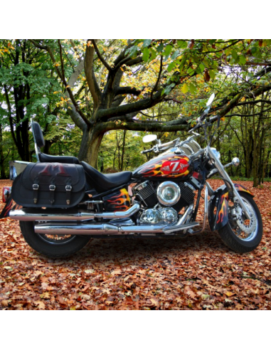 ALFORJAS RIGIDAS CAMPEADOR CELTIC BASICAS PERSONALIZADA UNIVERSAL