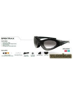 GAFAS SPEKTRAX CON CRISTALES INTERCAMBIABLES ADAPTABLES A LENTES