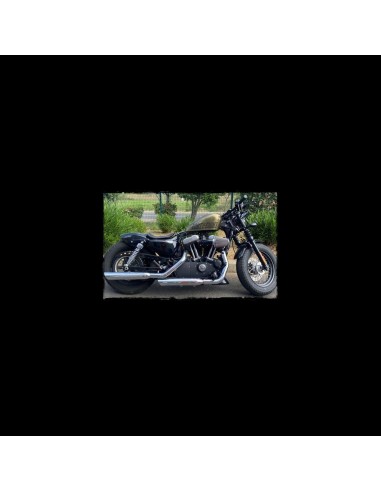 ASIENTO SOLO SKULL BLACK HD PARA SPORTSTER 2010 - UP