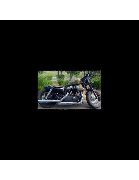 ASIENTO SOLO SKULL BLACK HD PARA SPORTSTER 2010 - UP ASIENTO SOLO SKULL BLACK HD PARA SPORTSTER 2010 - UP