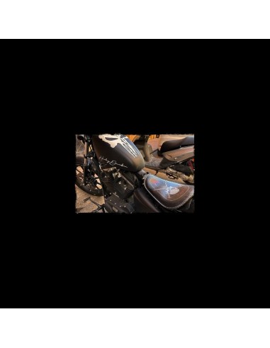 ASIENTO SOLO DANGER PARA SPORTSTER 2010 - UP