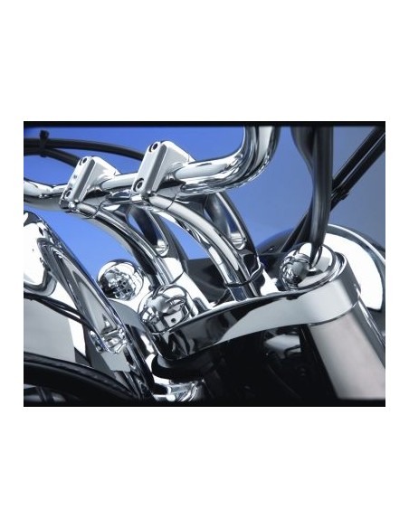 CUBRE TORNILLOS HORQUILLA TIJA SUZUKI ROADSTARS, VL800 '01-'03, 