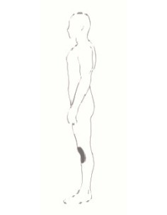 PROTECTOR RODILLA D30 T5 EVO PRO X HELD 2