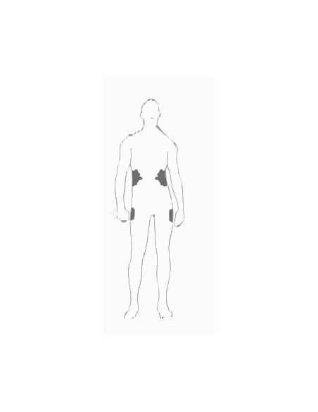 PROTECTOR DE CADERA-COSTILLAS SAS-TEC HELD para Protectores