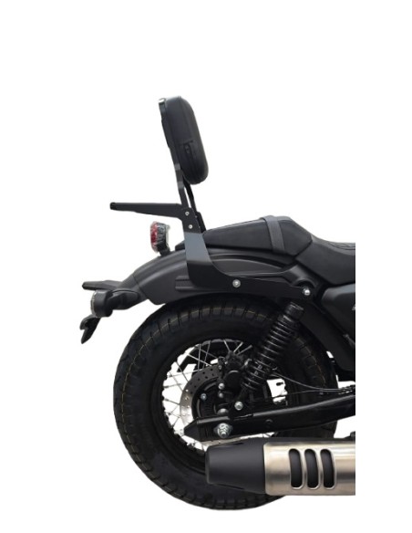 RESPALDO PASAJERO LEXMOTO R66S