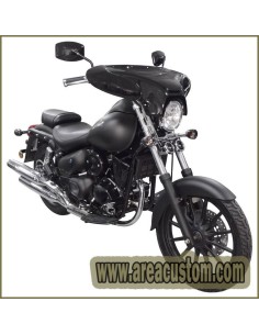 PARABRISAS BATWING CARENADO DAELIM DAYSTAR 125 2