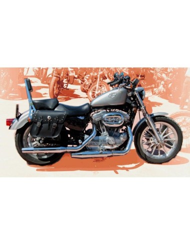 ALFORJAS PIEL APACHE CLASICAS