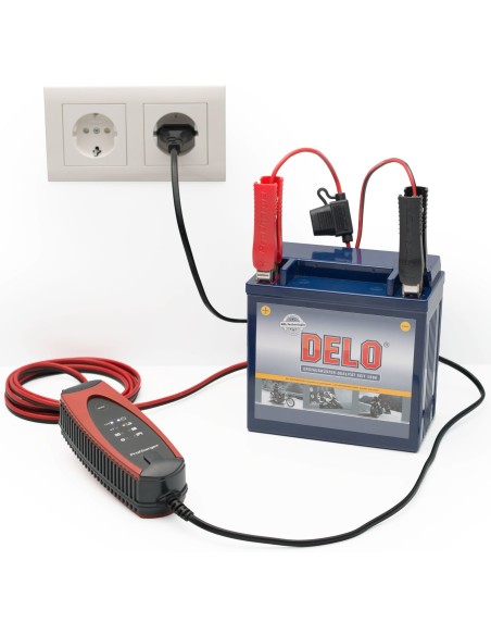 CARGADOR BATERIA PROCHARGER 1000