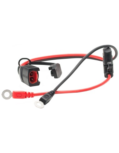 CARGADOR BATERIA PROCHARGER 1000