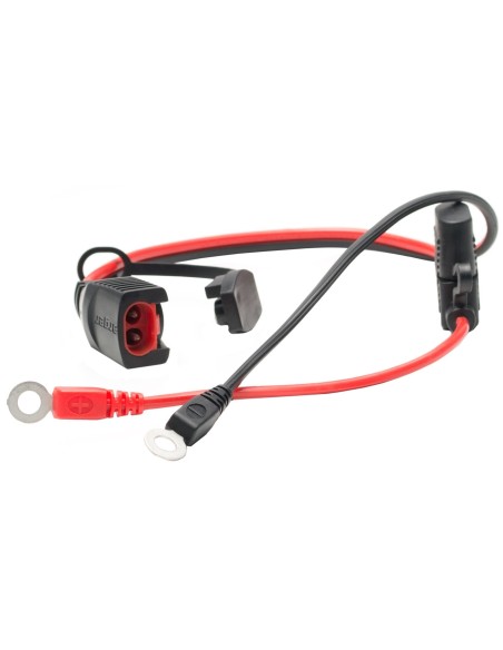 CARGADOR BATERIA PROCHARGER 1000