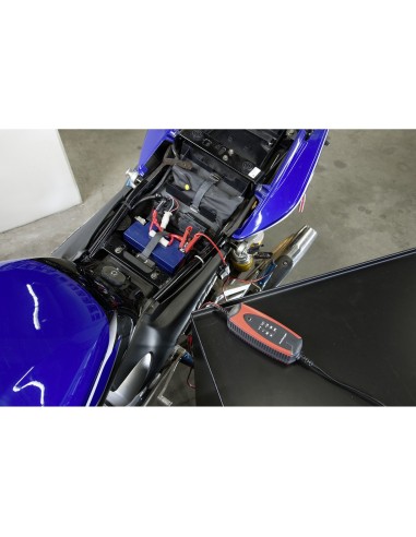 CARGADOR BATERIA PROCHARGER 1000