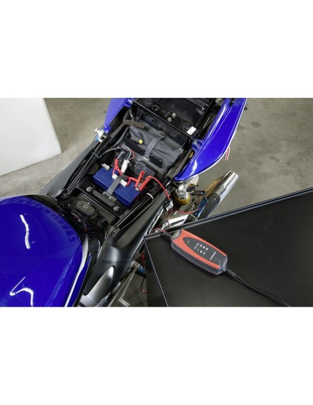 CARGADOR BATERIA PROCHARGER 1000