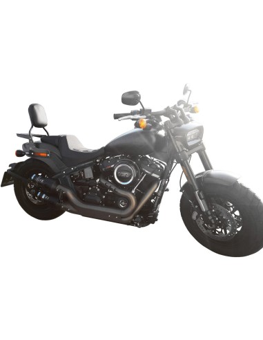 RESPALDO PASAJERO HARLEY DAVIDSON SOFTAIL FX FAT BOB (17 - UP)