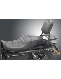 RESPALDO PASAJERO HARLEY DAVIDSON SPORTSTER ROADSTER (2016 -2019) 2