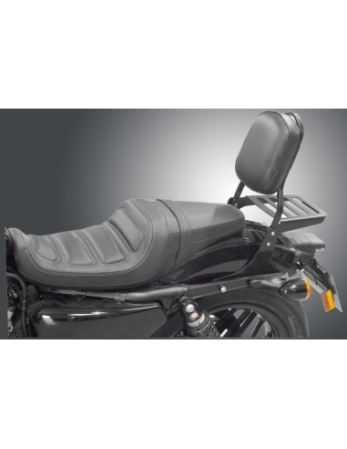 RESPALDO PASAJERO HARLEY DAVIDSON SPORTSTER ROADSTER (2016 -2019)