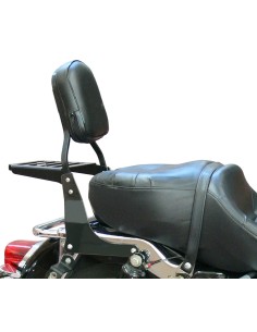 RESPALDO PASAJERO HARLEY DAVIDSON TOURING (2009 - 2013) 2