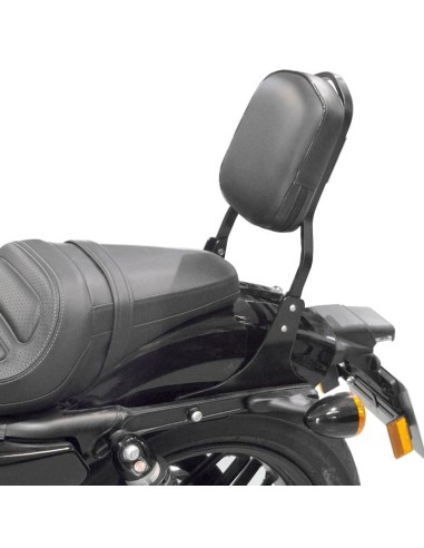 RESPALDO PASAJERO HARLEY DAVIDSON TOURING (2014 - UP)