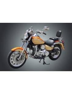 DEFENSA MOTOR DAELIM DAYSTAR 125 2