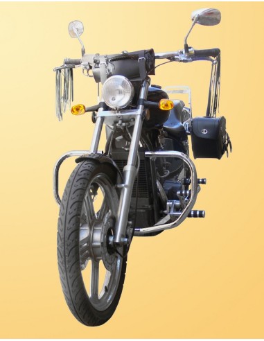 DEFENSA MOTOR LEONART SPYDER DD 125E-5