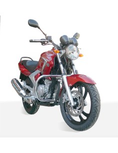 DEFENSA MOTOR YAMAHA YBR 250 (2007 - 2011) 2