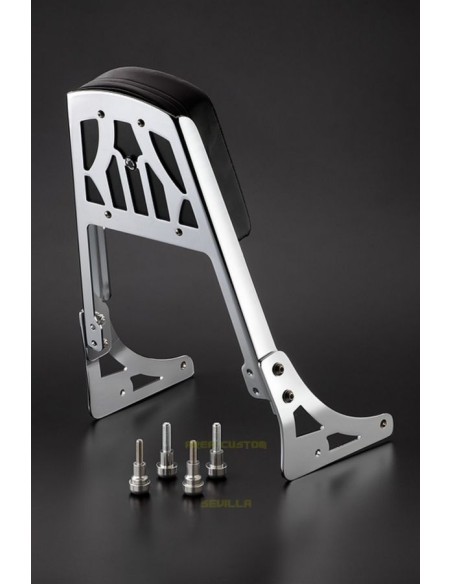 RESPALDO HONDA VTX1800C MAPAM CON PLETINAS