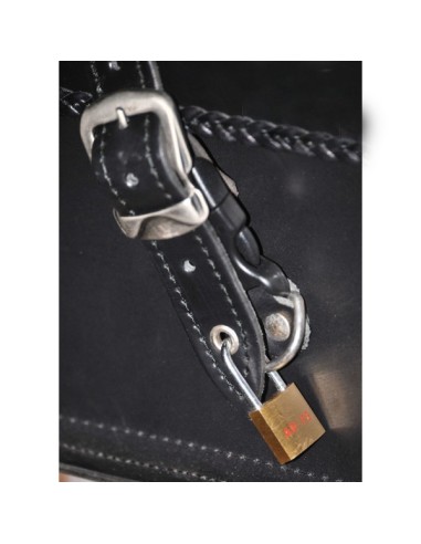 BAUL TRASERO RIGIDO DOSCAS CLÁSICO CELTIC FLECOS BIG BOSS MARRÓN UNIVERSAL