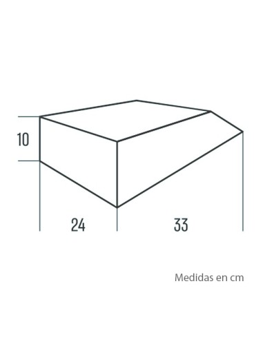 BOLSA DEPOSITO CASE II HELD
