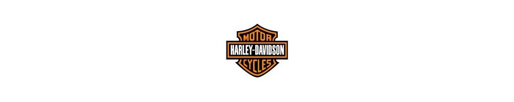 motos harley - AREA CUSTOM - Equipamiento Custom - Accesorios Custom - MOTOS CUSTOM y HARLEY DAVIDSON